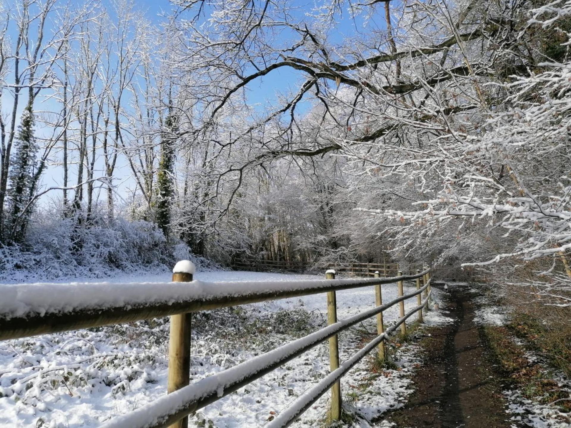 Les Hauts De Meez Dinant Luaran gambar